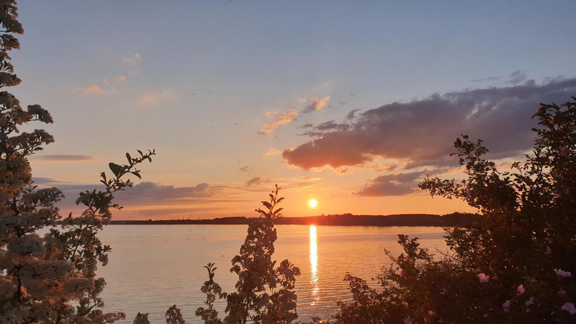 Seensucht & Urlaubstraeume, Ferienwohnung "Strand-Romantik" Senftenberg Luaran gambar